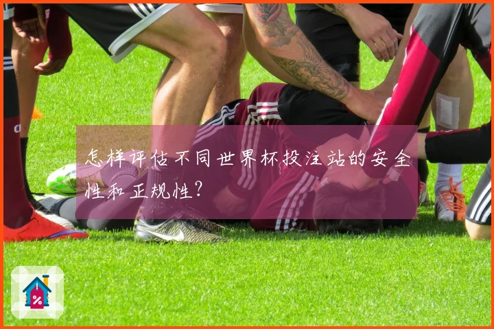 怎样评估不同世界杯投注站的安全性和正规性？