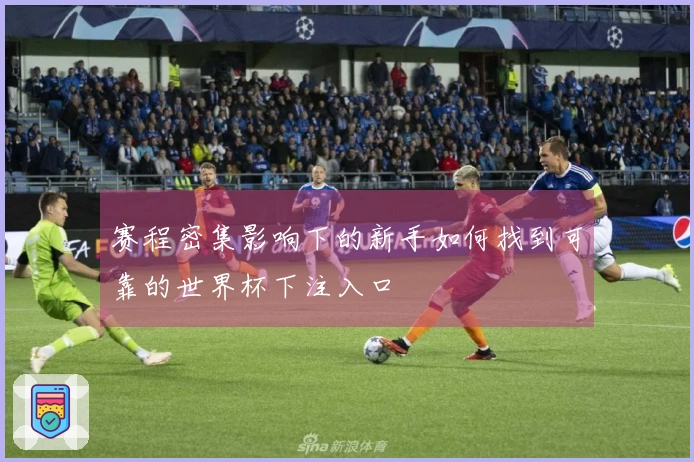 赛程密集影响下的新手如何找到可靠的世界杯下注入口