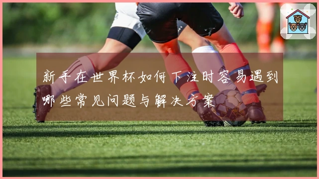 新手在世界杯如何下注时容易遇到哪些常见问题与解决方案