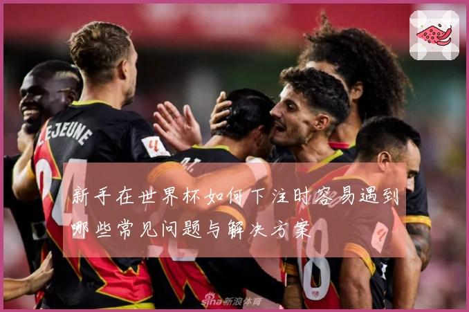 新手在世界杯如何下注时容易遇到哪些常见问题与解决方案