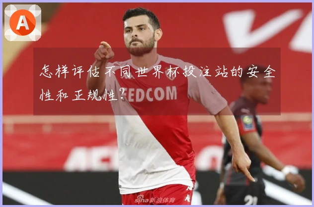 怎样评估不同世界杯投注站的安全性和正规性？