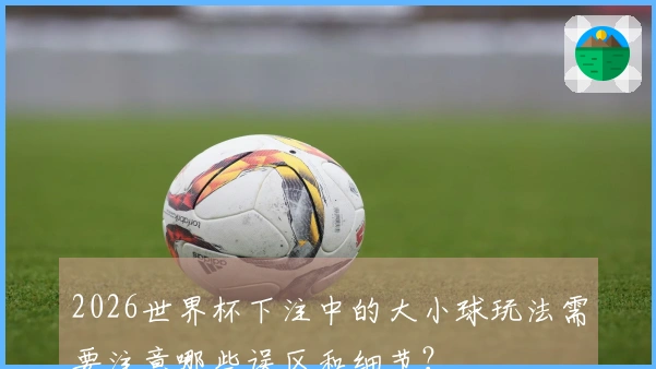 2026世界杯下注中的大小球玩法需要注意哪些误区和细节？